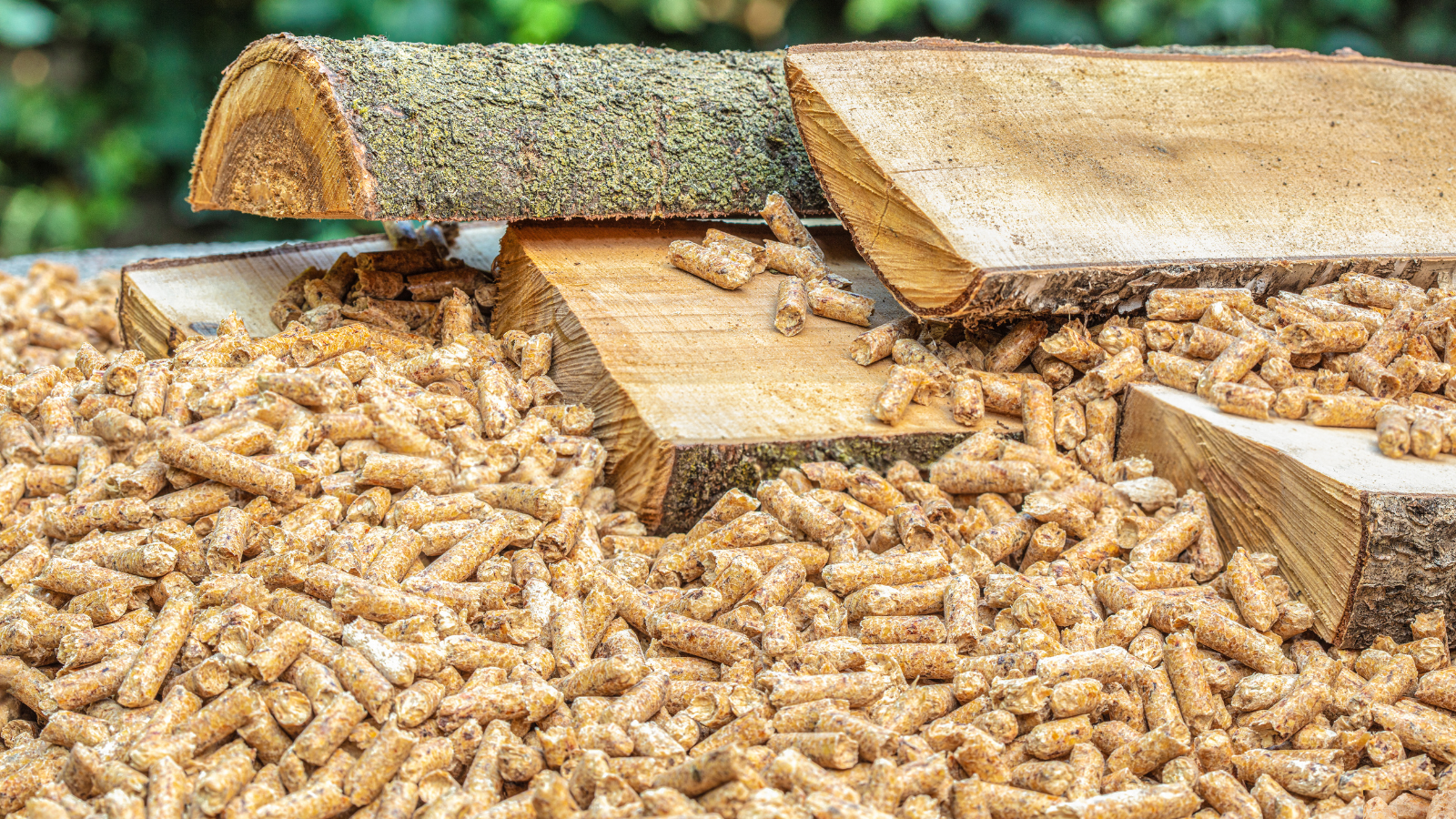 houtpellets fabriek, houtpelletsfabriek, pallet pellets, houtpellets, pellets, pelletkorrels, houtkorrels, woodpellets, Green Energy Woodpellets, bruine pellets, witte pellets, pelletkachel