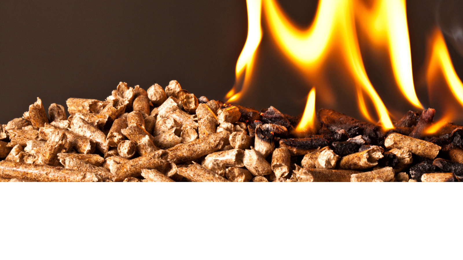 Houtpellets vlam, houtpellets fabriek, houtpelletsfabriek, pallet pellets, houtpellets, pellets, pelletkorrels, houtkorrels, woodpellets, Green Energy Woodpellets, bruine pellets, witte pellets, pelletkachel, houtpellets ophalen, houtpellets afhalen,