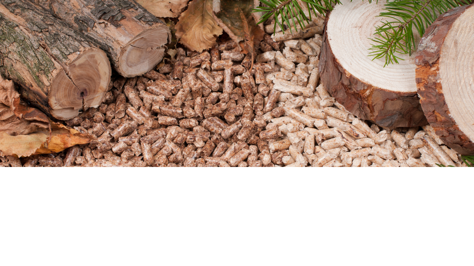 soorten houtpellets, pallet pellets, houtpellets, pellets, pelletkorrels, houtkorrels, woodpellets, Green Energy Woodpellets, witte pellets, bruine pellets, lichte pellets