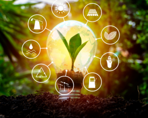 duurzaam, biomassa, duurzame warmte, pelletkachel, houtpellets, woodpellets, pelletkorrels, pellets, houtkorrels